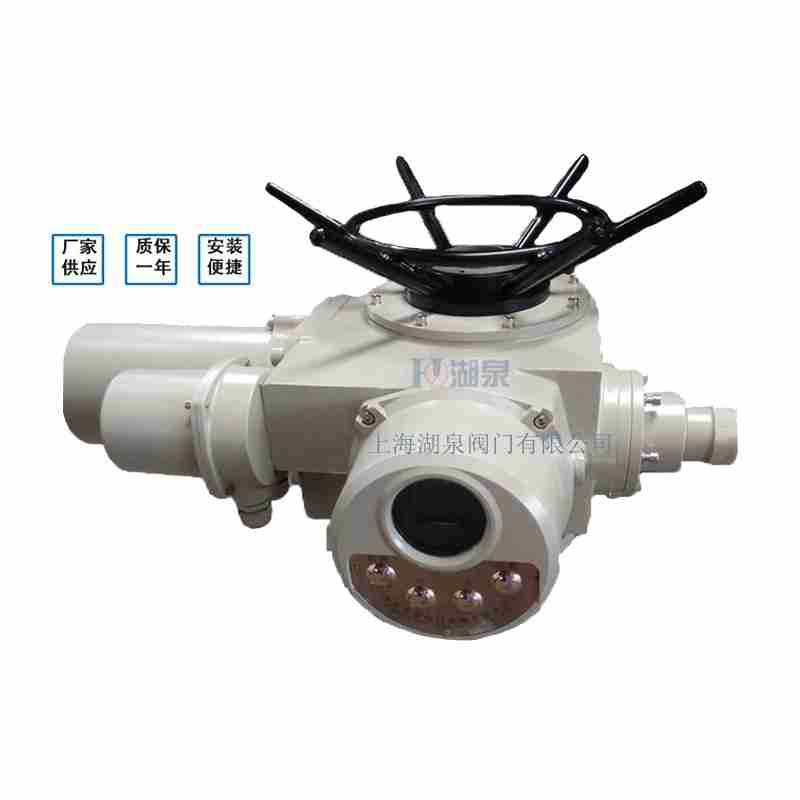 閥門電動(dòng)裝置（dzw05,10,20，30,45,60，90,12